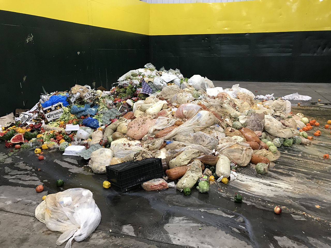 Food waste at CORe Facility