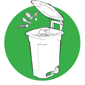 https://www.bostoncomposts.com/wp-content/uploads/2022/05/Boston_Bin_Decal.png